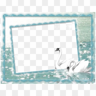 White Swan At Lake Png Photo Frame - Duck Frames Transparent Background, Png Download
