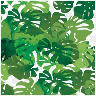 Tropical Leaves Png And - Tree, Transparent Png