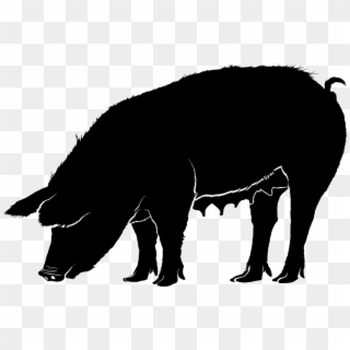 Download Png - Pig Silhouette, Transparent Png