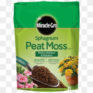 Sphagnum Peat Moss, HD Png Download
