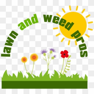 Weed Clipart Moss - Sunny Pictogram, HD Png Download