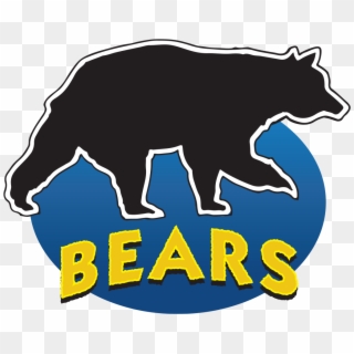 Bears Logo - American Black Bear, HD Png Download