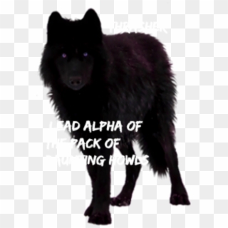 Wolf , Png Download, Transparent Png