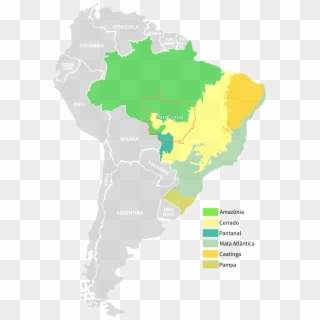 Mato Grosso, Brazil, South America - South America Mato Grosso, HD Png Download