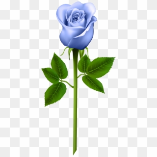Blue Rose Transparent Png Image Gallery Yopriceville - Purple Rose Png, Png Download
