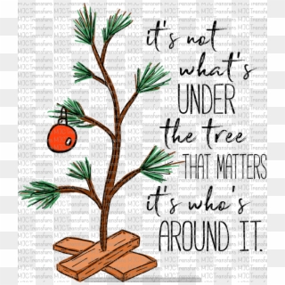 It's Not What's Under The Tree That Matters, HD Png Download