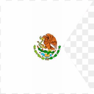 Bandera De Cónsules Generales Y Cónsules Del Mexico - Mexico Flag, HD Png Download