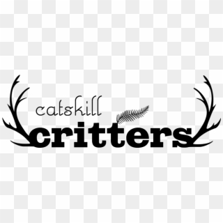 Catskill Critters Mobile Logo - Calligraphy, HD Png Download