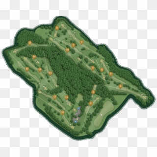 The Golf Course - Tree, HD Png Download