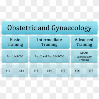 Obs And Gynae St1 Training Pathway - Syndrome Technologies, HD Png Download