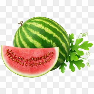 Water Melon - Fruit Water Melon, HD Png Download