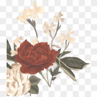 Shawn Mendes Updates On Twitter - Shawn Mendes Album Flowers Png, Transparent Png