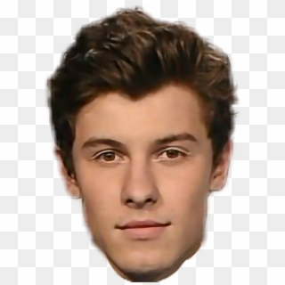 Shawnmendes Sticker - Sketch, HD Png Download