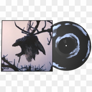Elk , Png Download - American Crow, Transparent Png
