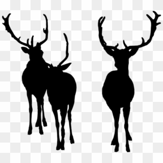 Deer Bucks Deersilhouette Silhouette - Elk, HD Png Download