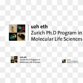 Logo Mls, Mls Logo - Zurich Molecular Life Sciences, HD Png Download