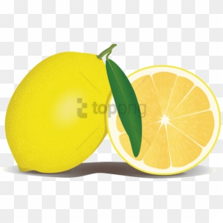 Lemon Clipart Fruit Clip Art Photo - Lemon Clipart Png, Transparent Png