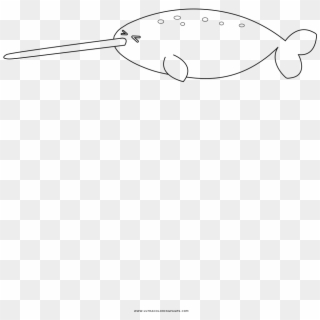 Narwhal Coloring Page, HD Png Download