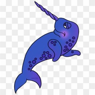 Narwhal, HD Png Download