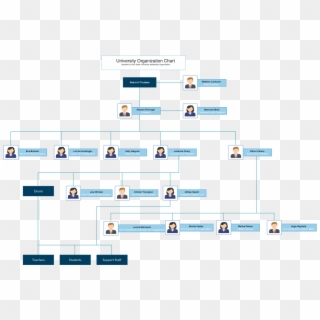 Org Chart Template For University - Google Organizational Structure Diagram, HD Png Download