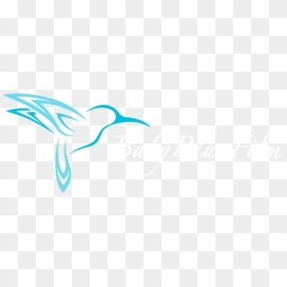 Baby Blue Film - Colibri Drawing, HD Png Download