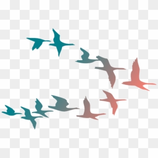 Free Png Download Colorful Flying Birds Png Images - Colorful Flying Birds Png, Transparent Png