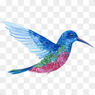 Hand Painted A Flying Colorful Bird Png Transparent, Png Download