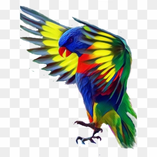 Bird Sticker - Animales Con Colores Bellos, HD Png Download
