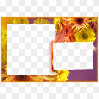 Albums Frames Engagement Frames Love Frames Marriags - Birthday Photo Frames With Flowers, HD Png Download