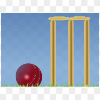 Stump Clipart Cricket Equipment - Cricket, HD Png Download
