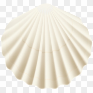 6000 X 5647 8 - Scallop, HD Png Download