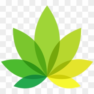 Transparent Png