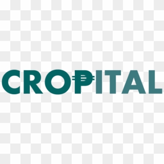 Cropital Logo4 - Graphic Design, HD Png Download
