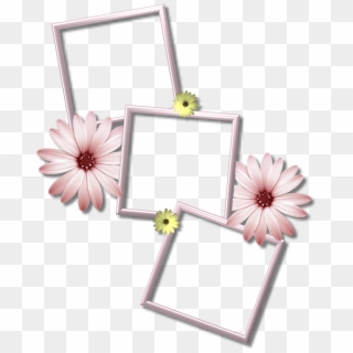 Collage Frame Png Picture - Multiple Photo Frames Png, Transparent Png