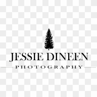 Jessie Dineen Photography - Meissen Porcelain, HD Png Download