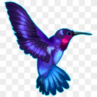 Blue And Purple Hummingbirds, HD Png Download