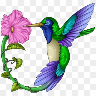 Hummingbird Clip Art 19 Hummingbird Clip Art Free Stock - Colorful Hummingbird And Flower, HD Png Download
