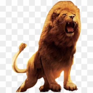 Lion Sticker, HD Png Download