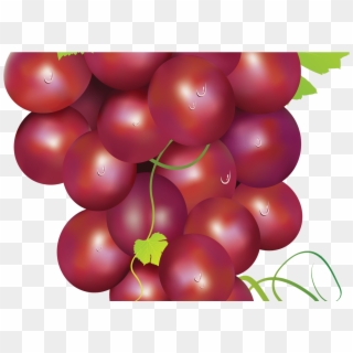 Grapes Grape Art On Grape Vines Clip Art Free And Clip - Grape, HD Png Download