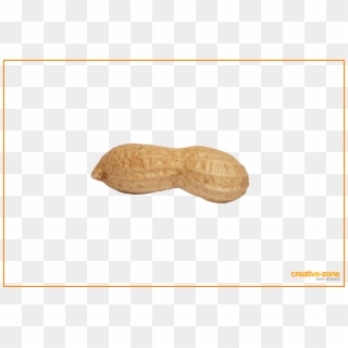 Peanut, Arachis In Schell - Peanut Transparent Background, HD Png Download