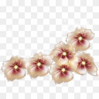 Free Png Download Transparent Flowers Png Images Background - Transparent Flowers, Png Download