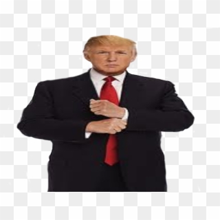 Donald Trump Full Body Png - Businessperson, Transparent Png