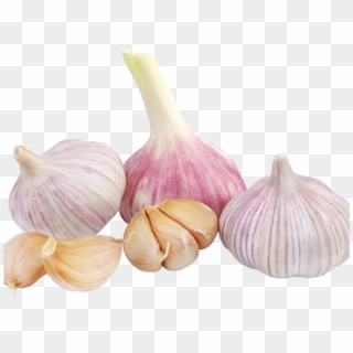 Garlic Clipart Transparent Background - Garlic Vegetable Png, Png Download