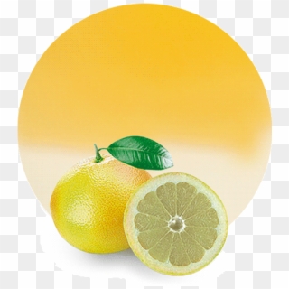 Com/wp Grapefruit Concentrate - White Grapefruit Look Alike Lemon, HD Png Download
