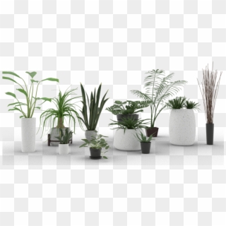 Indoor Transparent Plants Png, Png Download