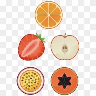 Apricot Clipart Grapefruit - Clip Art Slice Fruit, HD Png Download
