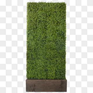 Artificial Boxwood Hedge - Hedge, HD Png Download