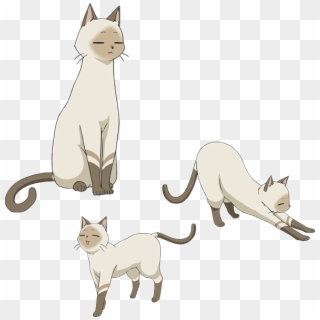 Kenny, A White Cat Who Is Akane's Familiar - Flying Witch Anime Cat, HD Png Download