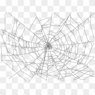 Drawn Spider Web Realistic - Realistic Spider Web Drawing, HD Png Download