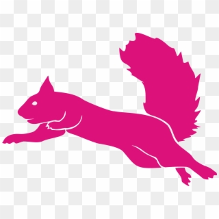 Flying Squirrel Guatemala - Flying Squirrel Trampoline Park Logo, HD Png Download